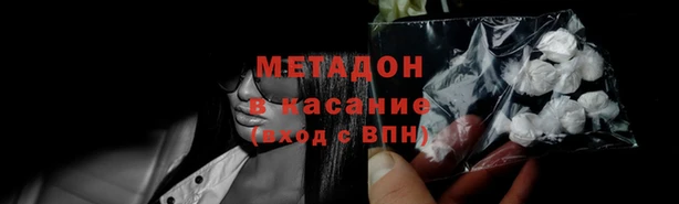 амф Дмитриев