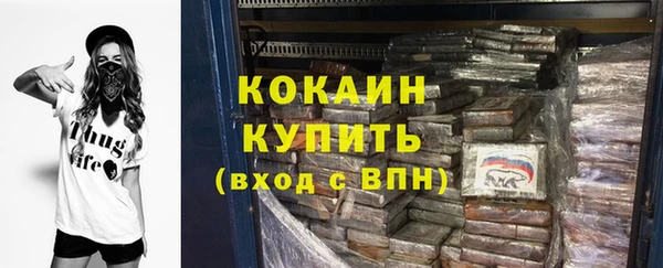 амф Дмитриев