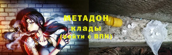 амф Дмитриев