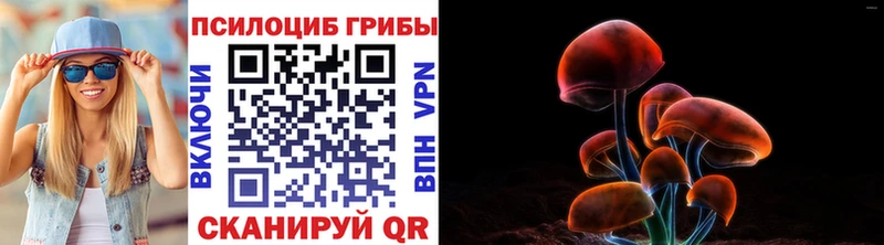 наркошоп  Теберда  Псилоцибиновые грибы мухоморы 
