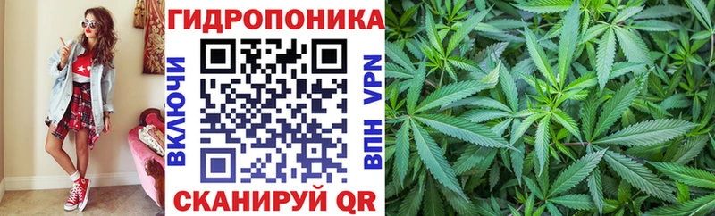 Шишки марихуана AK-47  mega как войти  Теберда 